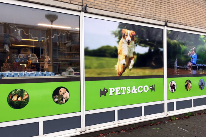 Raambelettering Pets & Co | Van Dongen Reclame